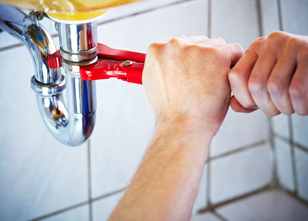 About Medusa Plumbers